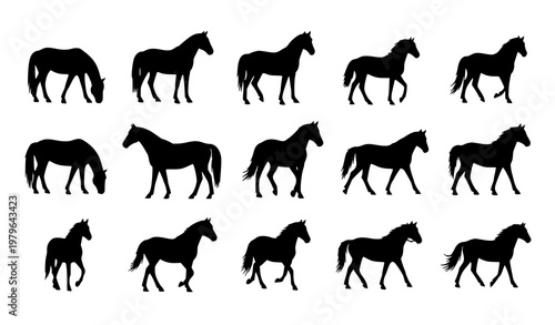 Equine silhouette collection vector horse poses farm animal icon set