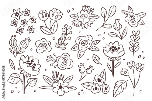 Floral doodle collection. Cute hand-drawn flowers, twigs and leafs isolated on a white background. Organic line art style. Perfect for decorating surfaces, prints and crafting projects.