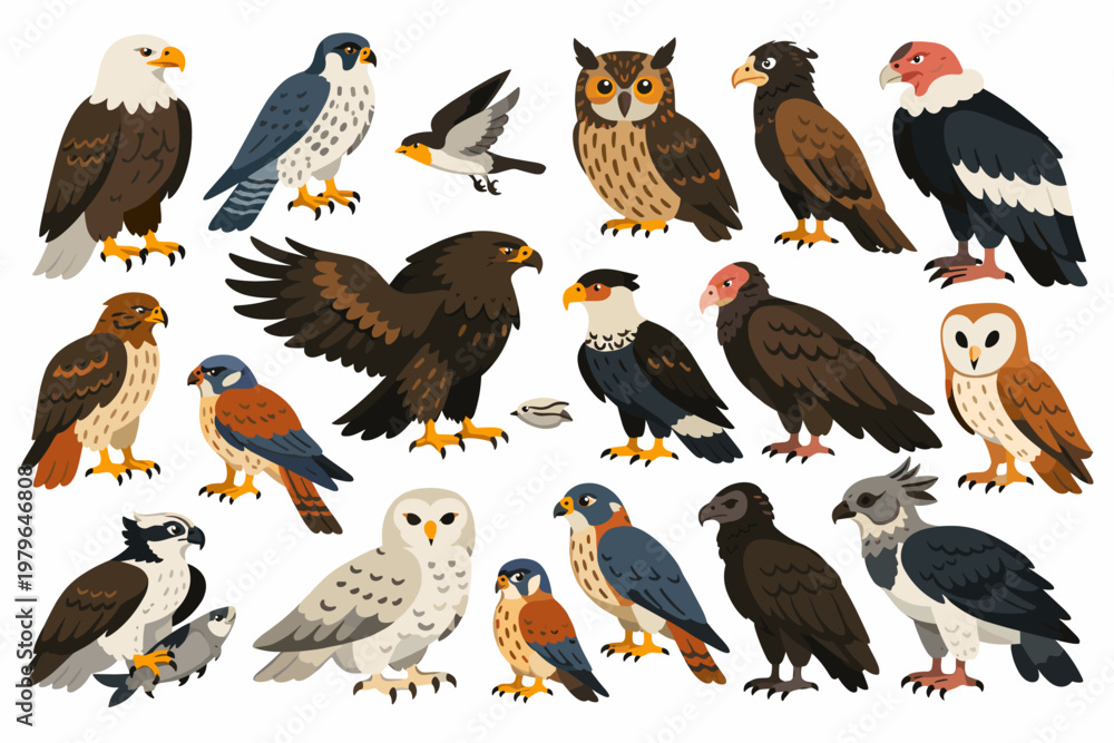 Fototapeta premium Richly illustrated field-guide style collection of eight renowned raptors — including a bald eagle, snowy owl, peregrine falcon, barn owl, osprey, red-tailed hawk, Andean condor, and crested caracara
