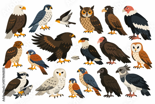 Detailed Vector Illustration of Diverse Birds of Prey Collection Featuring Bald Eagle, Snowy Owl, Peregrine Falcon, Red-Tailed Hawk, Osprey, Barn Owl, Andean Condor, and Crested Caracara on White