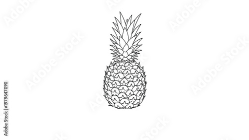 Simple black and white line drawing of a whole pineapple fruit with its distinctive textured skin and spiked crown of leaves on top.