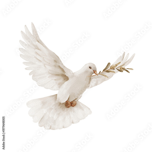 Fotografía White flying dove with olive branch, isolated clipart, watercolor illustration