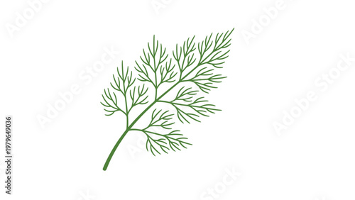 Green sprig of fresh dill herb commonly used in culinary recipes and gardening depicted in a simple flat illustration.