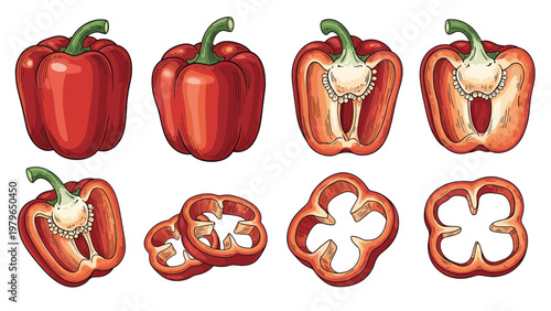 Detailed engraving style set of a red bell pepper shown in whole, halved, sliced, and ring forms for food preparation art.