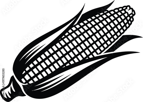 Corn black and white detailed vector illustration of single ear with open husk leaves farm crop botanical graphic