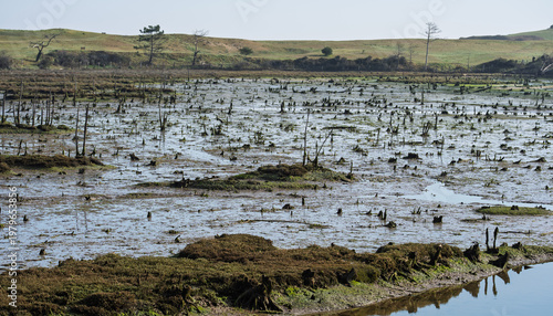 Schilderij op canvas Low Tide Mudflats in Rural Estuary Landscape