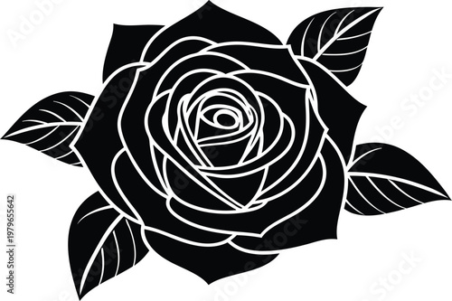 Rose National Flower Botanical. Elegant Rose Flower Study. Rose Blossom Floral Illustration. National Flower Rose Design. Classic Rose Flower Drawing art. Rose Stem and Bloom Art. Rose Garden Flower