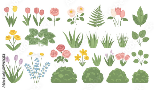Flat garden elements vector set flowers plants transparent background