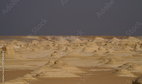 Φωτογραφία Patterned desert terrain with evenly scattered limestone mounds