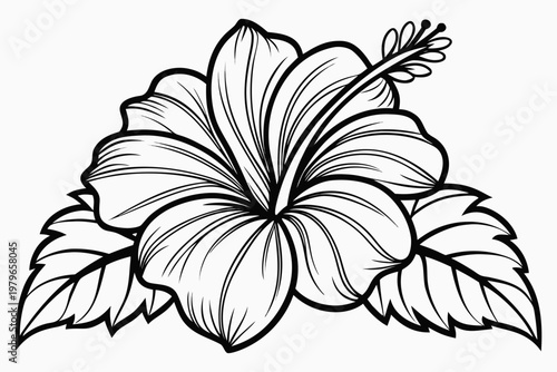 coloring page line art the hibiscus flower black vector