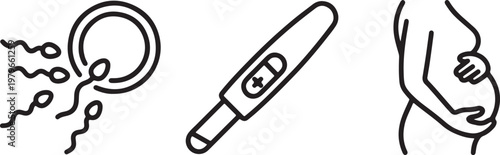 pregnancy stages icon set fertilization test and baby bump line art vector illustration
