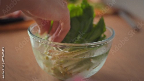 In home kitchen, young housewife girl gently washes fresh herbs in bowl of water, rinsing vibrant greens. This careful cleaning prepares the herbs for crisp salad, highlighting simple culinary care