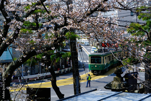 江ノ電と桜の風景 - Scenery of Enoden and cherry blossoms