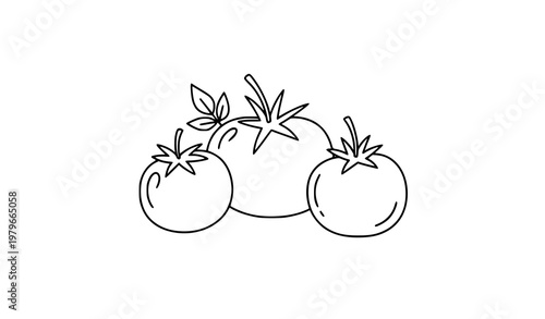 Minimal hand drawn tomato doodle simple food vector illustration isolated on white background