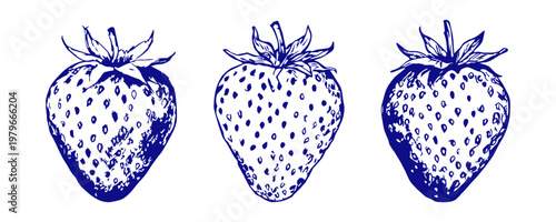 Hand drawn set of three strawberries in detailed vintage engraving style, perfect for fruit packaging, jam labels, cafe menus, logos and organic food branding