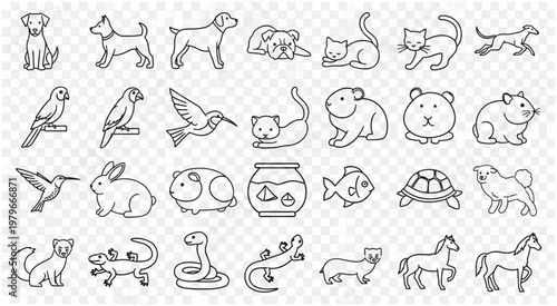 Collection of various line art illustrations of different animals and pets for design.