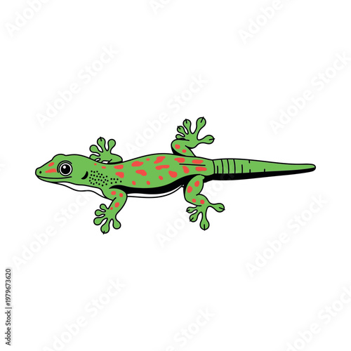 Green lizard with orange spots crawling.