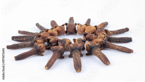 Dried cloves spice buds in a circle