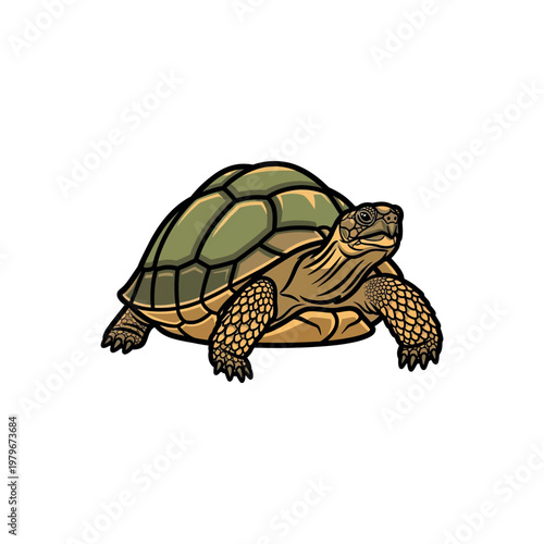 Turtle Walking on Land Slowly Forward.