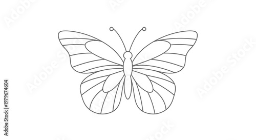 Simple Line Drawing of a Butterfly on White Background