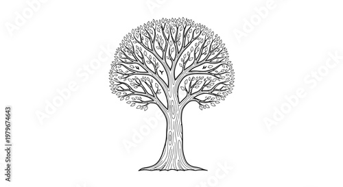 Bare Tree Silhouette, Detailed Branches, Winter Season Drawing, Isolated on White