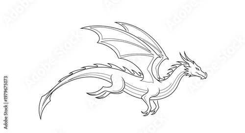 Fantasy Dragon Outline Drawing - Mythical Creature Flying