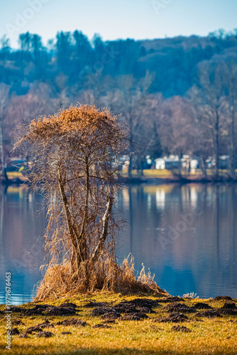 Alpine winter view near Waging am See, Lake Waginger See, Traunstein, Bavaria, Germany
