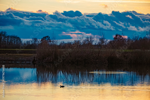 Sunset with tree silhouettes near Wallersdorf, Dingolfing, Landau, Bavaria, Germany