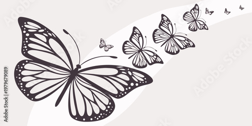 Black and white monarch butterfly line art illustration featuring multiple butterflies flying in a curved trail against a light background for decorative design butterfly illustration