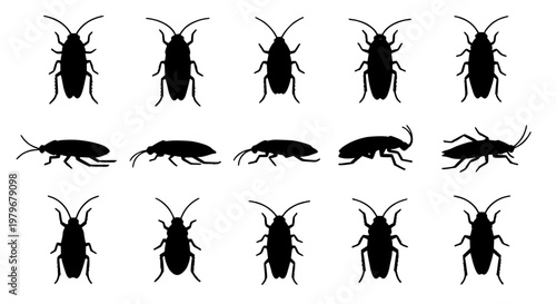 Flat Cockroach Insect Icon Set Multiple Views Pest Control Vector Illustration on White Background