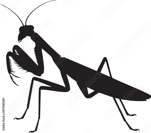 A striking silhouette of a praying mantis is displayed showcasing its distinctive body shape and elongated limbs high quality professional detailed