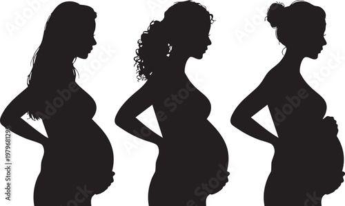 A striking silhouette illustration depicts three women at different stages of pregnancy showcasing the changing form high quality professional detailed modern