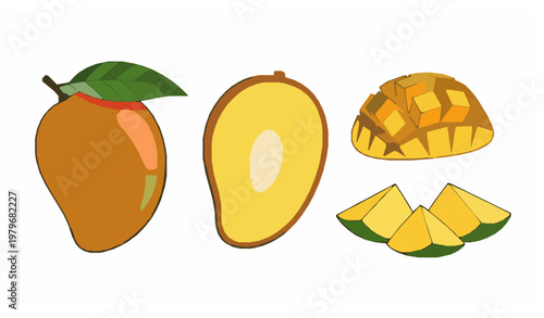 Mango vector set tropical fruit slices and whole mango illustration isolated on white