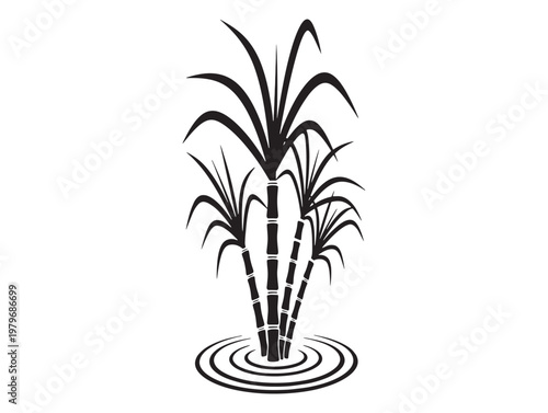 Black and white illustration of sugarcane plant with rippling water base