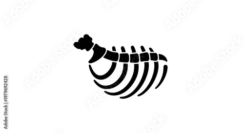 Rib cage silhouette isolated on white.