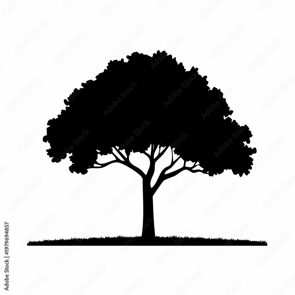 Fototapeta premium Vector silhouette of tree on white background