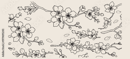 Cherry blossom floral branch set, spring sakura flower illustrations, Japanese botanical nature graphics, blooming tree branch icons, elegant floral sketch elements, oriental garden flower symbols, ch