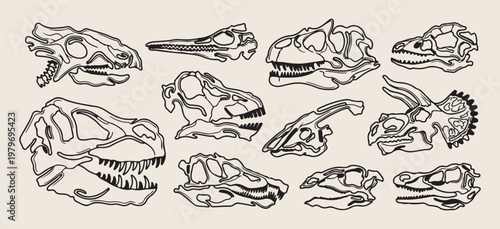 Dinosaur skull fossil illustrations, prehistoric skeleton head vector set, archaeology museum icon graphics, ancient predator bone elements, science education fossil symbols, T-Rex and Raptor skull co