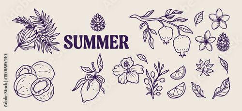 Summer pomegranate fruit branch set, tropical citrus lemon illustrations, botanical nature sketch graphics, fresh organic fruit icons, garden harvest plant elements, hand drawn summer aesthetic symbol
