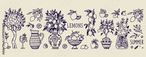 Lemon and fruit branch sketch set, botanical citrus tree illustrations, black ink nature floral graphics, fresh organic fruit icon elements, garden lemon harvest symbols, hand drawn botanical design c