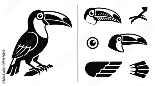 Tropical toucan bird vector illustration kit featuring toucan body head with large beak eye wing and bird foot icons isolated