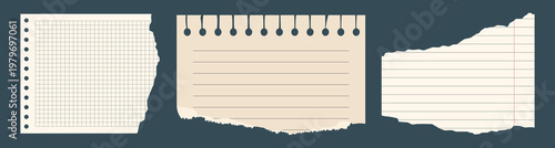 Torn paper pieces set, Paper notes, Ripped fragments of notebook sheets