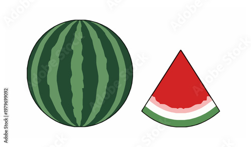 Watermelon whole and slices dynamic composition vector illustration summer fruit isolated on white background