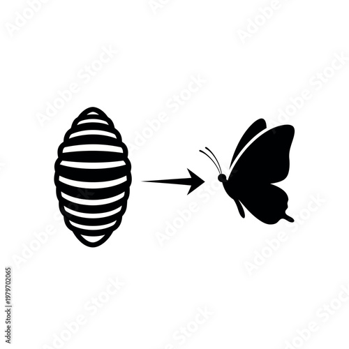 Metamorphosis Icon Cocoon to Butterfly Transformation.