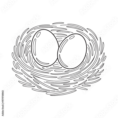 Bird eggs in a nest illustration