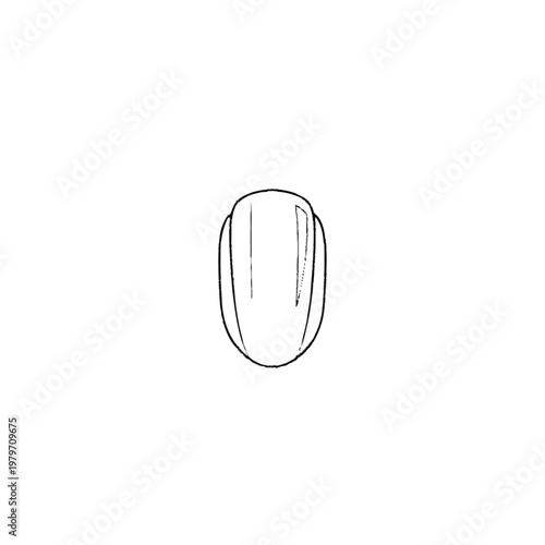 Minimalist black outline drawing of a single human fingernail. Clean line art illustration for beauty, manicure, and wellness concepts.