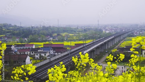 High-speed train in a sea of rapeseed flowers.