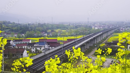 High-speed train in a sea of rapeseed flowers.