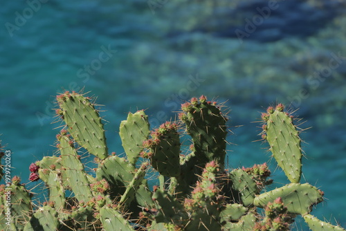 En las playas italianas llamadas 