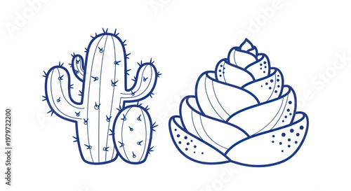 Hand Drawn Cactus and Succulent Plants Outline Illustration.